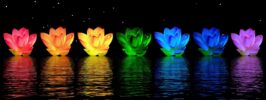 seven lotus flower lights representing the chakras