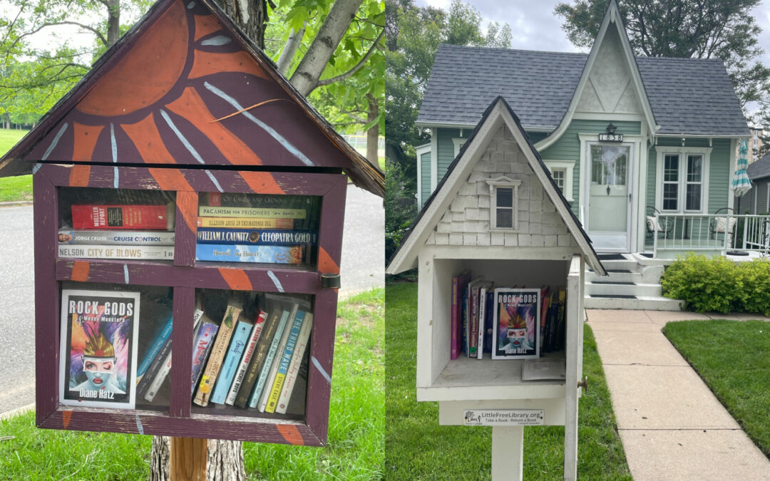 Alternative Book Promotion – Little Free Libraries